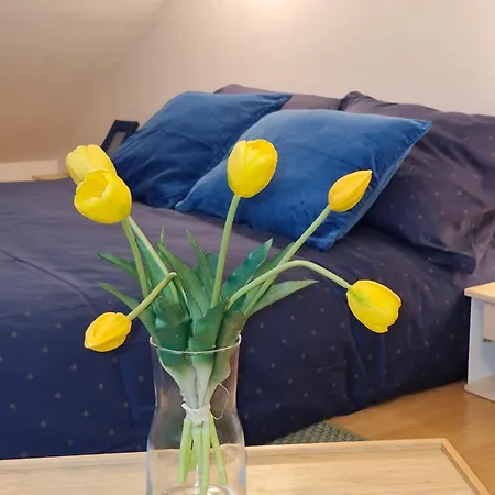 Apartma Nara Apartman